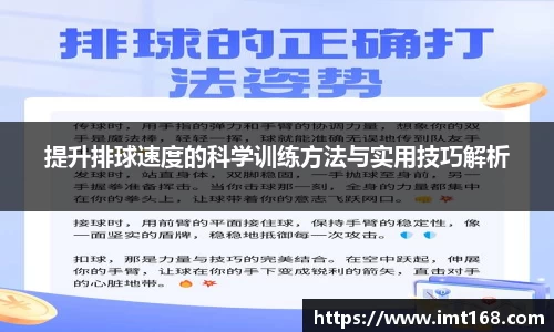 3377体育官网