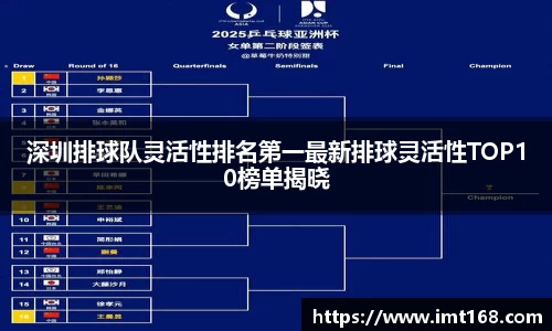 深圳排球队灵活性排名第一最新排球灵活性TOP10榜单揭晓